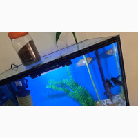 Aquarium with Accessories