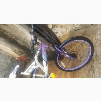 Dunlop Bicycle
