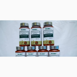 Norland Ginseng Cordyceps Treatment Of Erectile Dysfunction