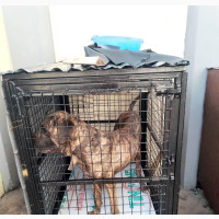 Detachable Dog Cage