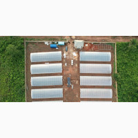 Greenhouse 9m X30m