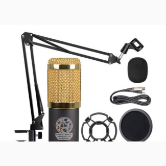 BM800 Microphone