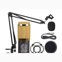 BM800 Microphone