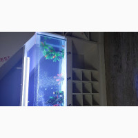Aquarium Home Interior