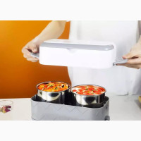 Double-Layer Electric Lunch Box