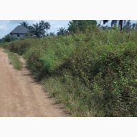 1, 2 and 3 Plots of Lands for Sale