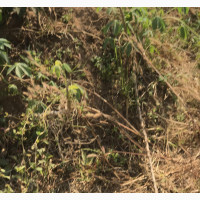 Residential Land for Sale - 2 Plots