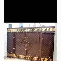 Ezedus Steel Constitution LTD