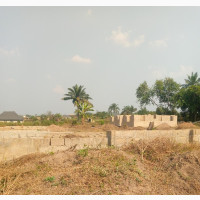 Two Plots at Adeleke
