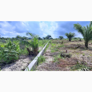 Ojo Iwajù Estate