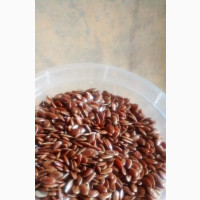 Flaxseeds/ Linseeds for Hair Growth and Overall Health