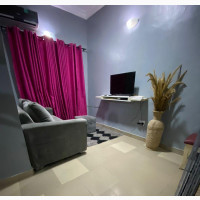 Luxury One Bedroom Apartment