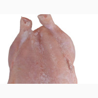 Fresh and Frozen Chicken