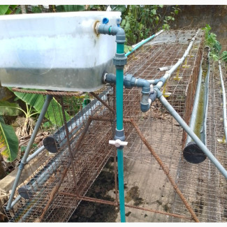 Big Poultry Cages Available