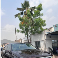 Mercedes-Benz C250 2012