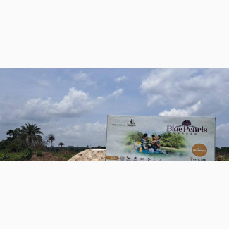 Strategically Located Plots of Land Witin an Estate