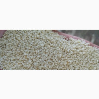 Sesame Seed - High Quality, Affordable