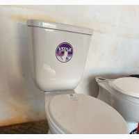 Vstar Toilet With Out Basin and Pedestal
