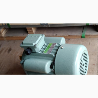 Viking 1HP Single Phase Electric Motor