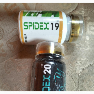 Spidex19 Spidex20 Combat Infection and Also Repair Tissues