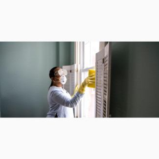 Thorough Cleaning and Fumigation