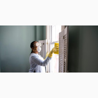 Thorough Cleaning and Fumigation
