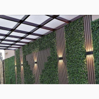 Garden Designs