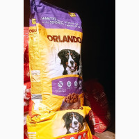 Orlando Dog Food