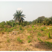 Land for Sale at Oniyere