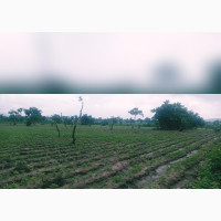 Cheap Land With Good Title for Sale