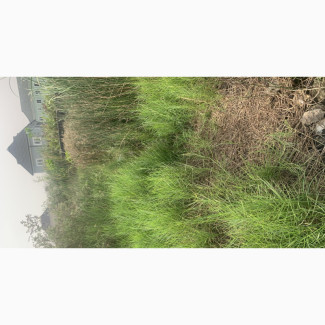 Comfort Lagoon Estate Plot of Land for Sale