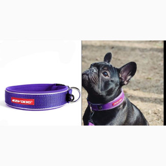 Ezydog PURPLE MEDIUM Neodog Classic Collar Strong Reflective