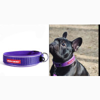 Ezydog PURPLE MEDIUM Neodog Classic Collar Strong Reflective