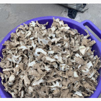 Fresh and Dry Ginger at Great Prices