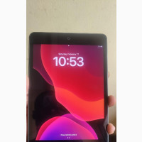 Apple iPad mini 5 256 GB Gray