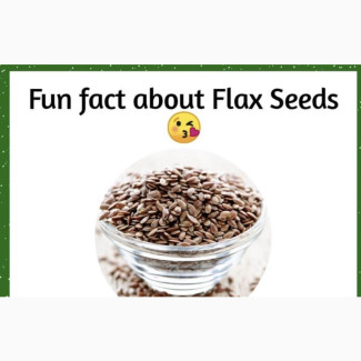 Flax Seeds