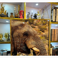 Luxury Crystal Stoned Acrylic Wall Frames
