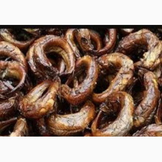 Panla Kika - Get Your Fresh Fish at Affordable Price