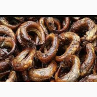Panla Kika - Get Your Fresh Fish at Affordable Price
