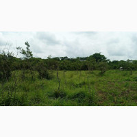 150 Acres of Land With River Passing Through It