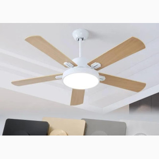 220V Celling Fan/Light Speed Control Switch Wall Dimmer