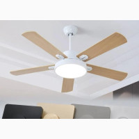 220V Celling Fan/Light Speed Control Switch Wall Dimmer