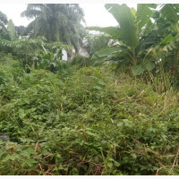 Two Plots of Land for Sale in Awka