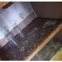Cleaning and Fumigation Solutions