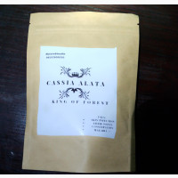 Cassia Alata