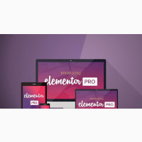 Elementor Pro - Wordpress Website Builder Plugin