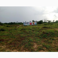 Become an Amazing Landlord at Flourish Amaze, Epe
