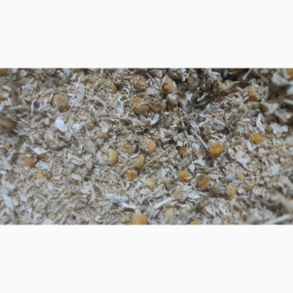 Chamomile (1kg)