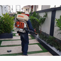 Snake Fumigation Services in Surulere - Junebug Pest Control