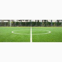 Soccer Pitch Grass Bulk Buyer Wanted